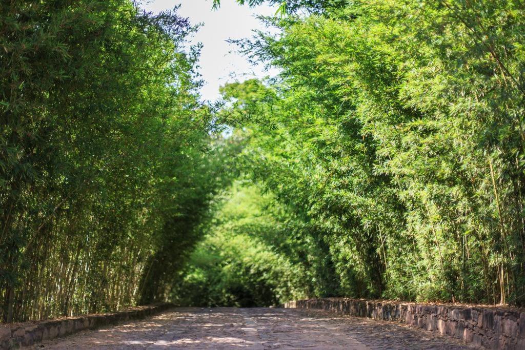 Pousada Bosque Do Lapao Ленсойс Экстерьер фото